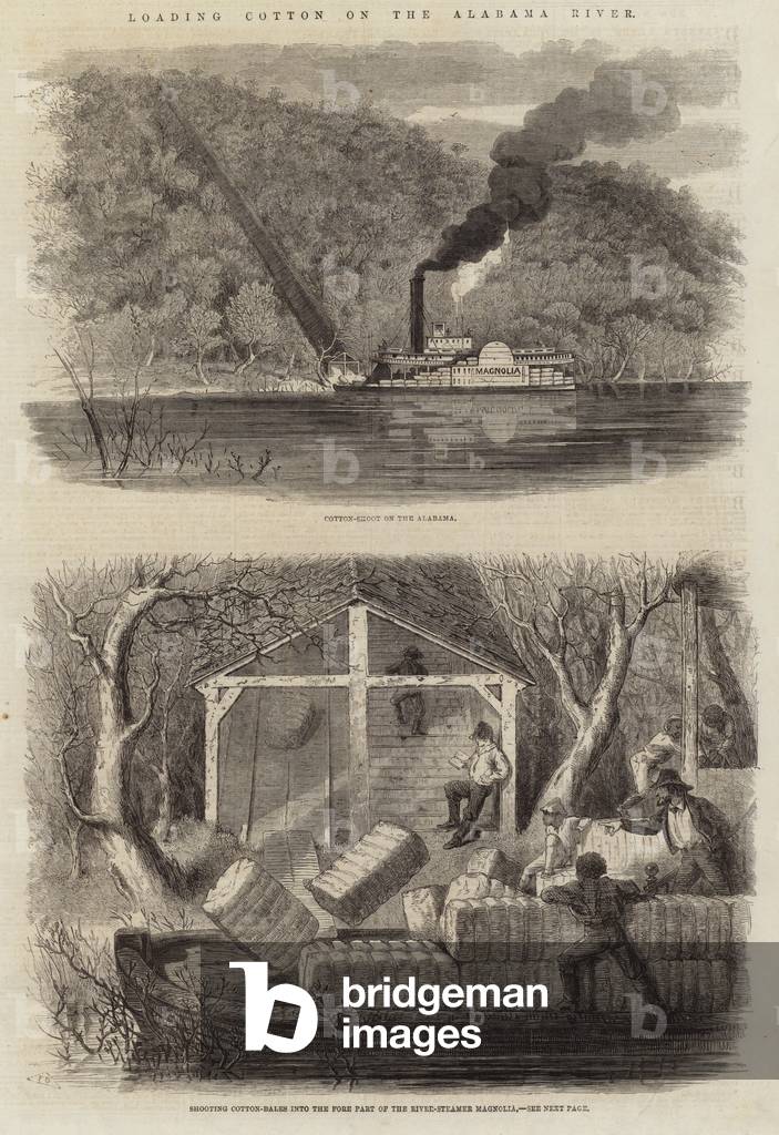 Loading Cotton on the Alabama River (engraving)