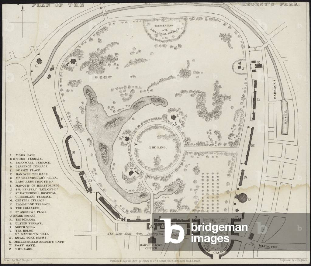 Map of Regent's Park (engraving)