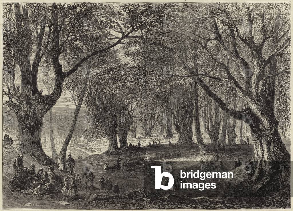 A view in Epping Forest (engraving)