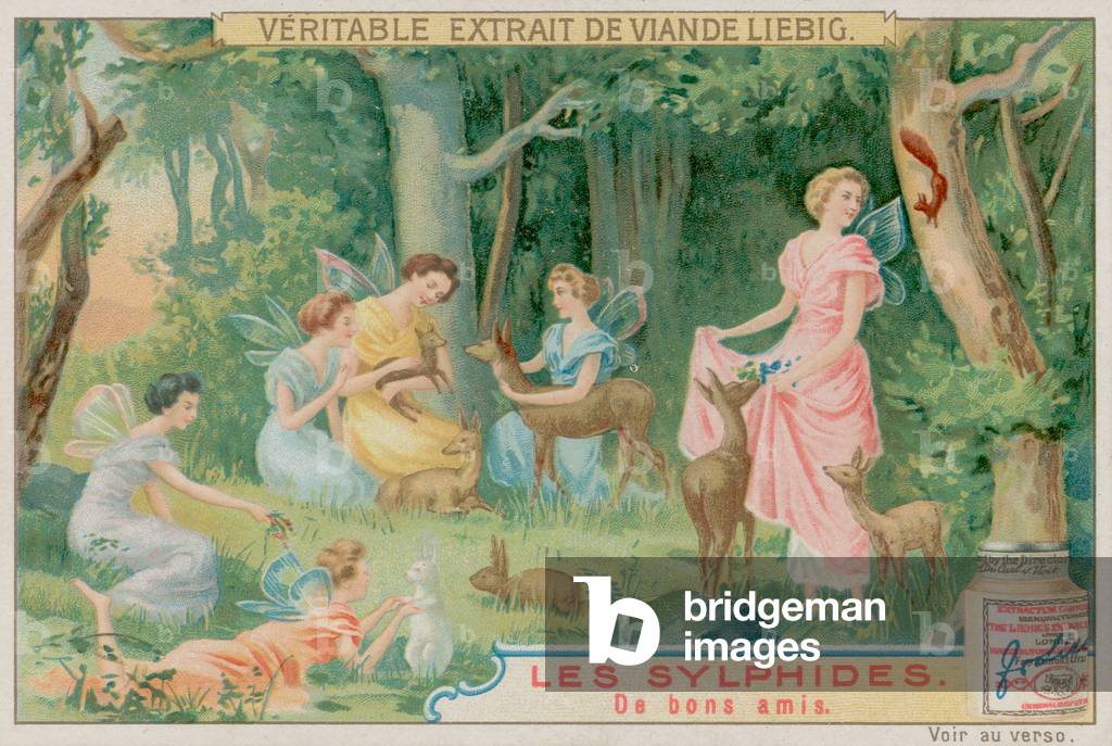 Sylphs and Woodland Animals (chromolitho)