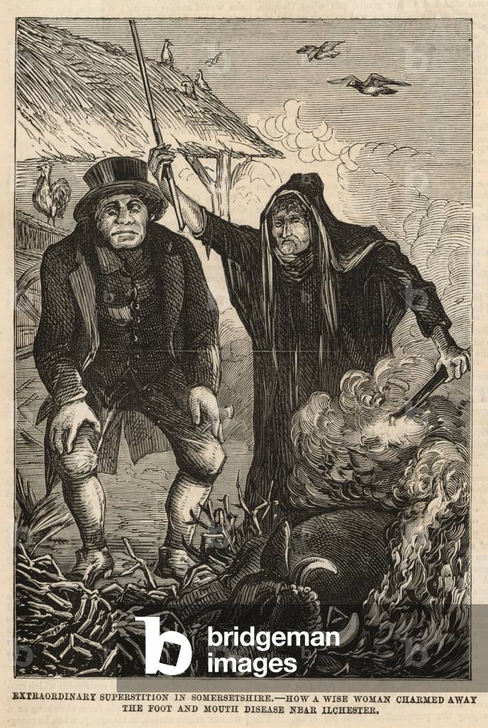 How a wise woman charmed away the foot and mouth disease near Ilchester (engraving)