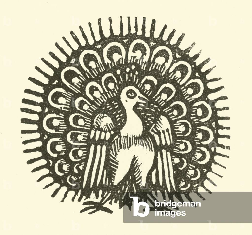 Peacock (woodcut)