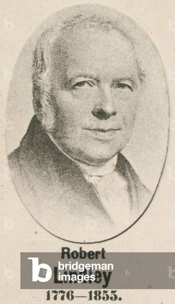 Robert Lindley (gravure)