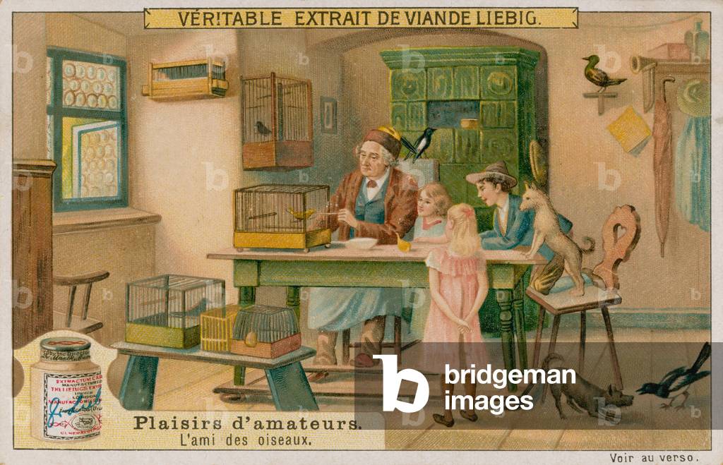 The Amateur Bird Lover (chromolitho)