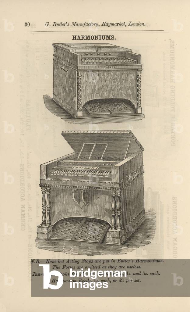 Page from G Butler's Illustrated Catalogue of Musical Instruments (engraving)