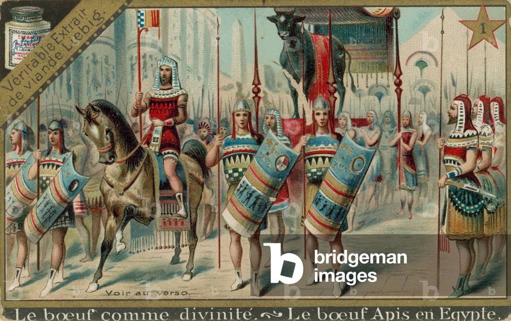 Cows in Ancient Egypt (chromolitho)