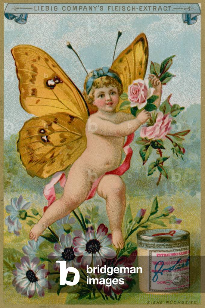 Butterfly Cherub with Daisies (chromolitho)