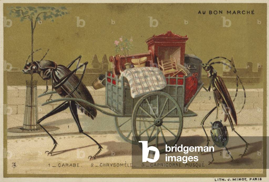 Au Bon Marche cards featuring anthropomorphic insects (colour litho)