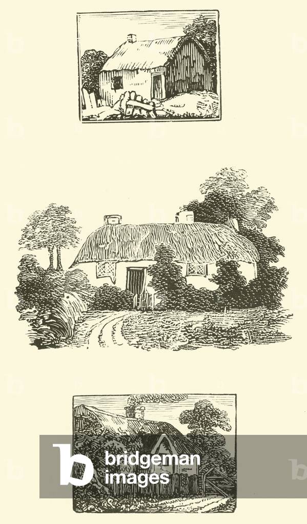 Thatched cottages (woodcut)