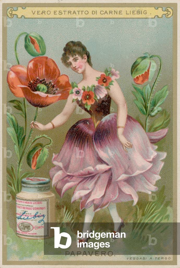 Poppy Flower Girl (chromolitho)