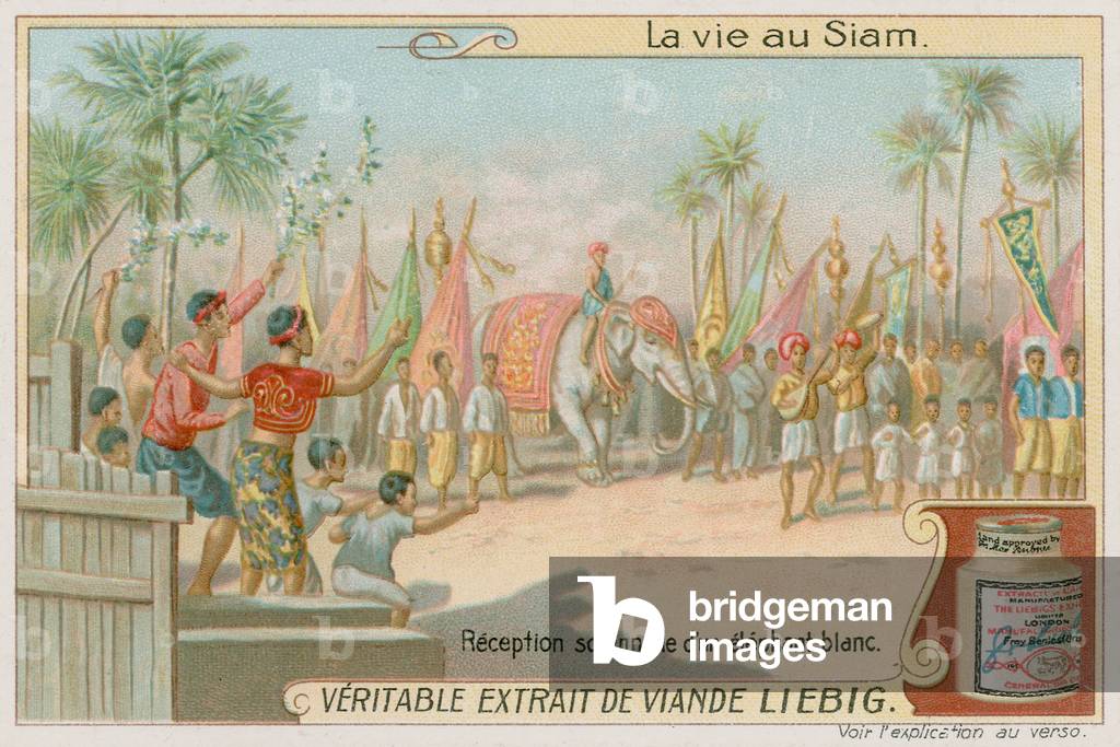 Arrival of a white elephant (chromolitho)