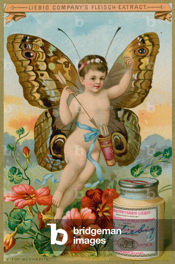 Butterfly Cherub with Red Flowers (chromolitho)