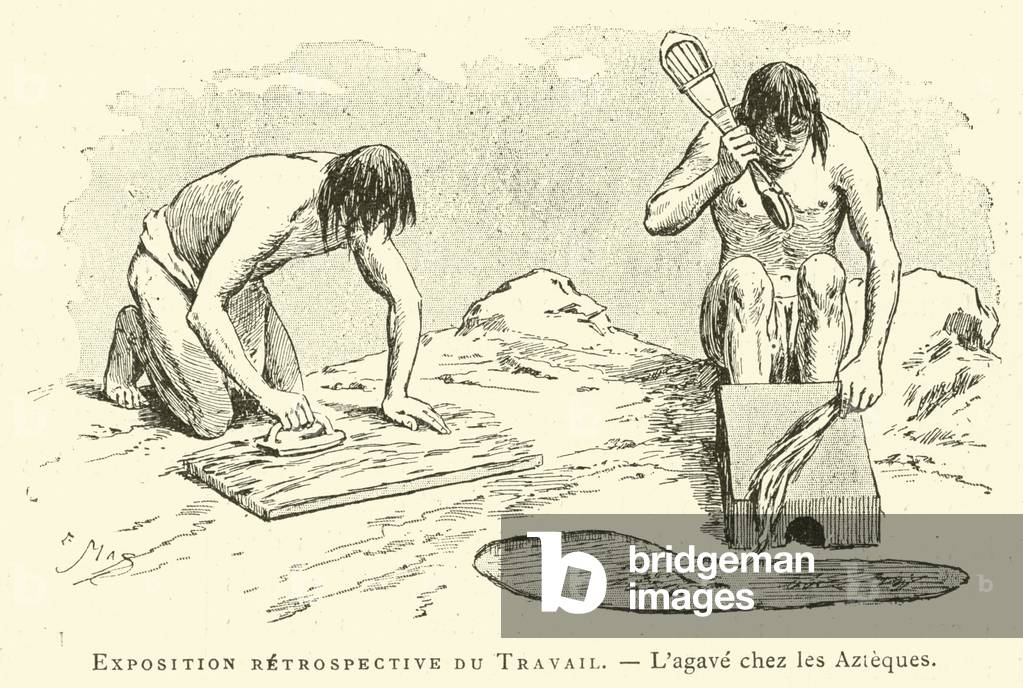 Exposition retrospective du Travail, l'agave chez les Azteques (engraving)