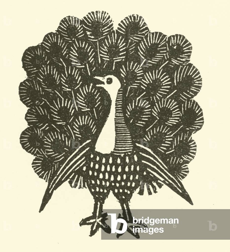 Peacock (woodcut)