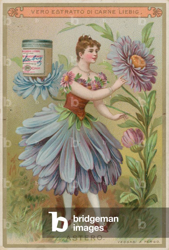 Aster Flower Girl (chromolitho)