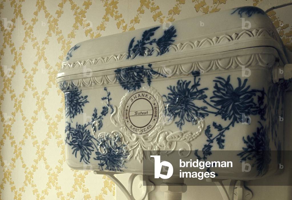Shanks 'Mulberry & Chrysanthemum' design on a 'Torrens' pattern cistern, Keir, Scotland, dating from 1899 (photo)