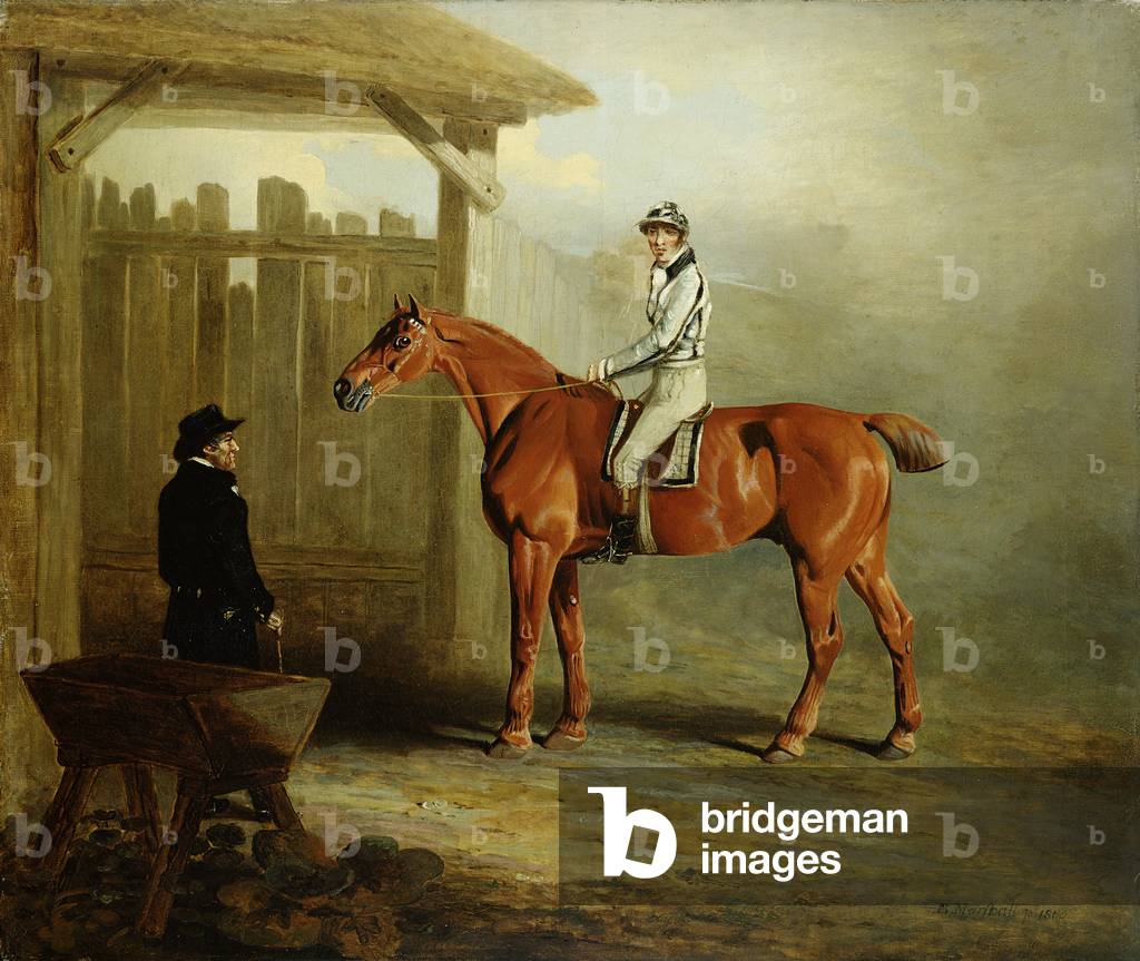 Soothsayer, Winner of the St. Leger 1811 (oil on canvas)