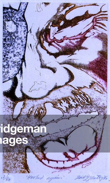 Ray Sawyer, 1974 (litho)