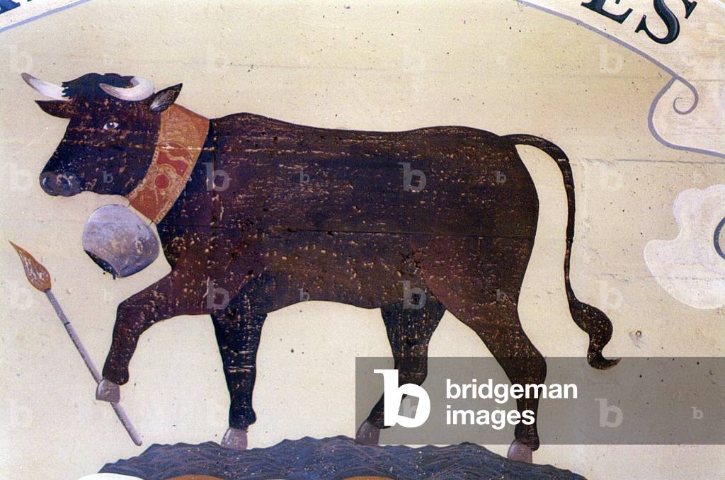 Cow with cowbell tied round its neck