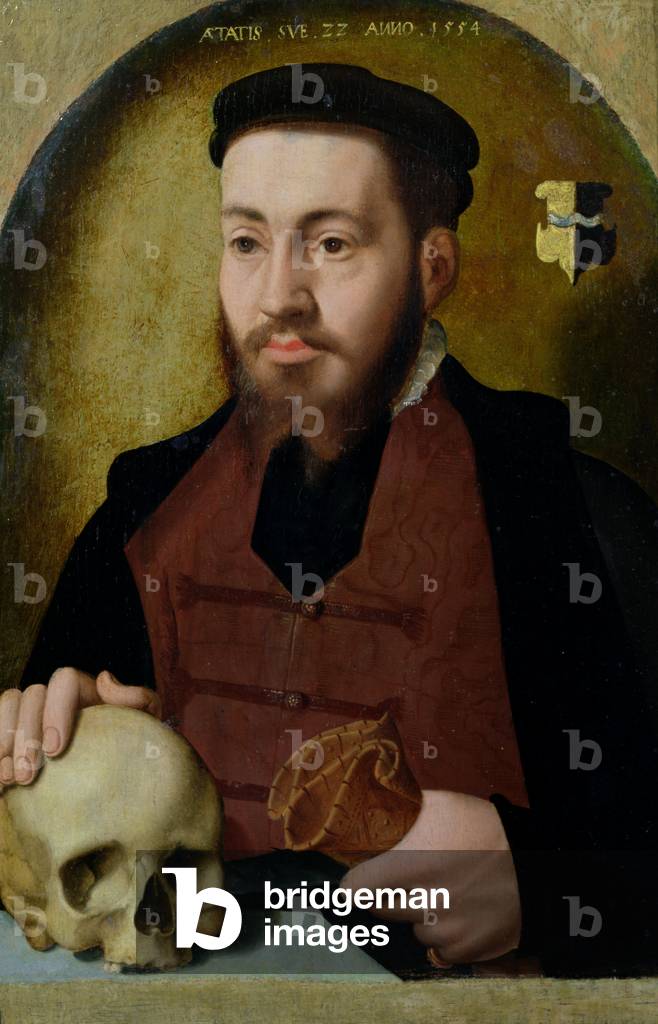Portrait of young man, 1554 (oil on panel)