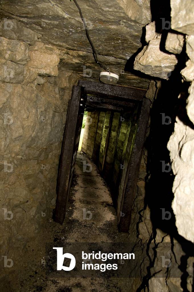 France, Champagne-Ardenne, Marne (51), Vienne le Chateau (Vienne-le-Chateau) - Camp de la Vallee Moreau - recontitution and remnants of a german camp of the First World War (First World War 1914-1918). Photography Florent Lamontagne