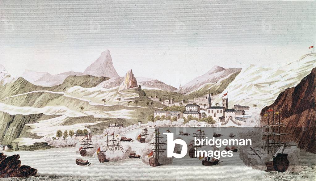 View of the island Saint Helena (engraving, 19th century)