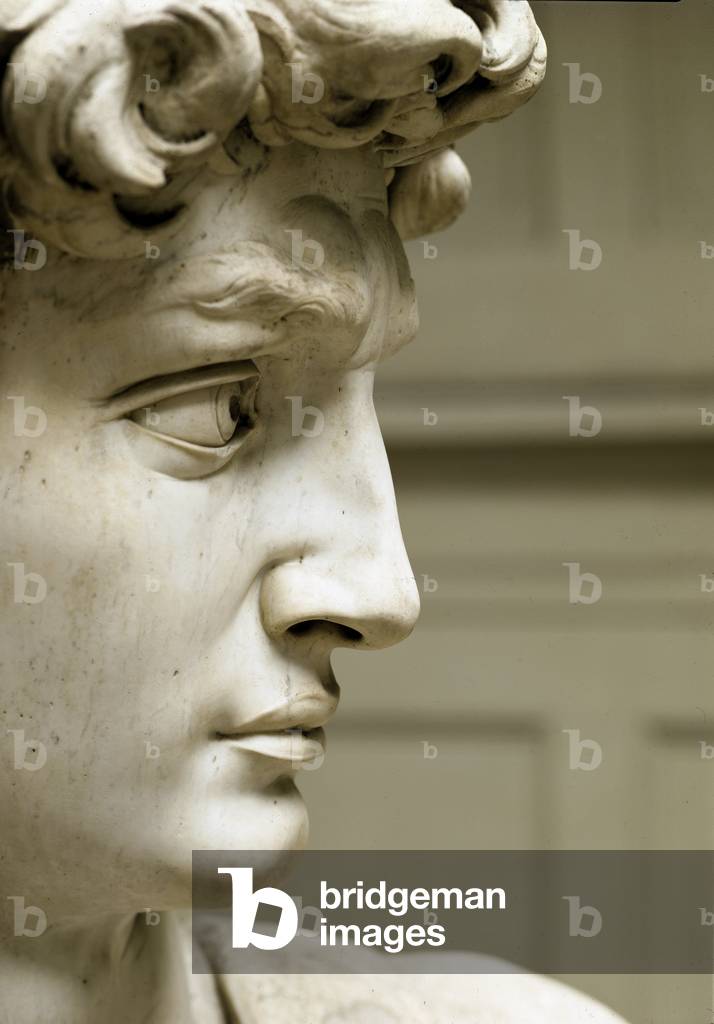 David Detail. Marble sculpture made by Michelangelo Buonarroti dit Michelangelo (Michelangelo or Michel Ange, 1475 - 1564), 1504. Galleria dell'Accademia, Florence