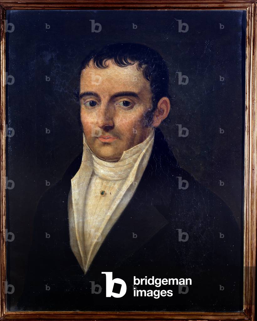 Portrait of Ludovico Antonio Brizzi, Italian musician. 19th century (painting)