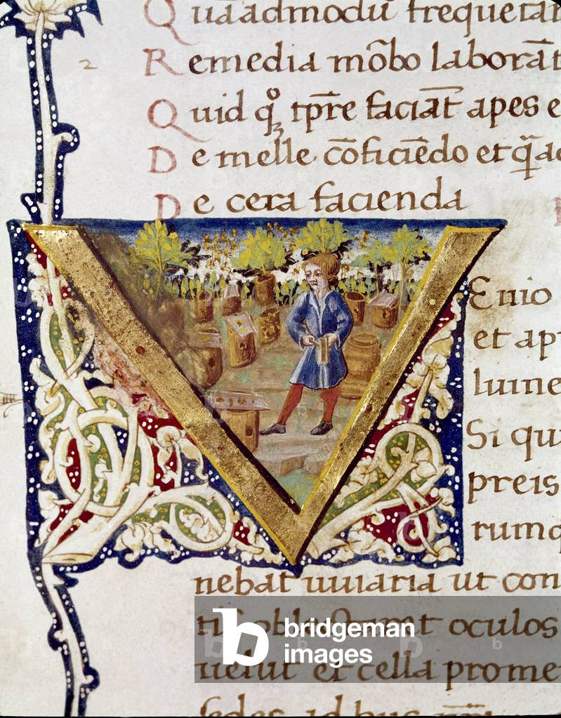 A beekeeper and his hives (miniature, 15th century)