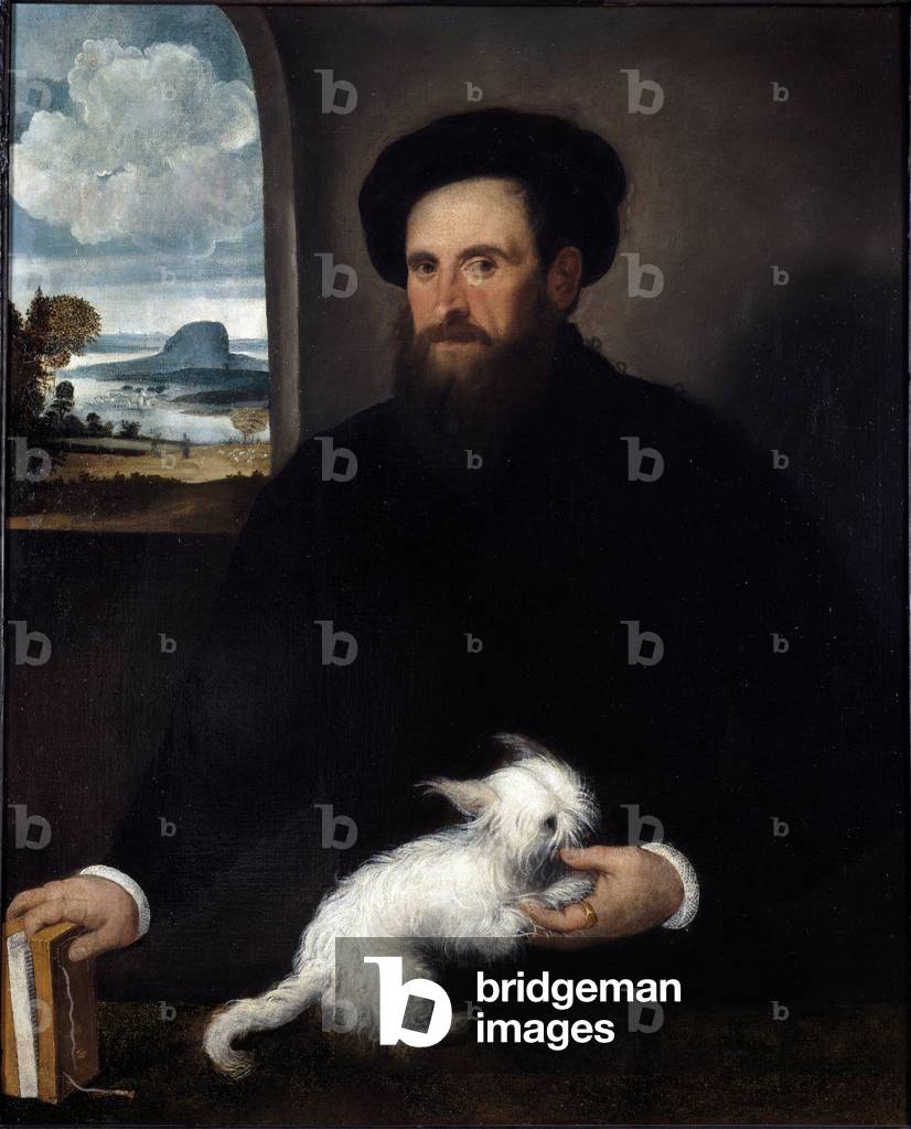 Portrait of the Gentleman with the Little Dog. c.1540 (Painting)