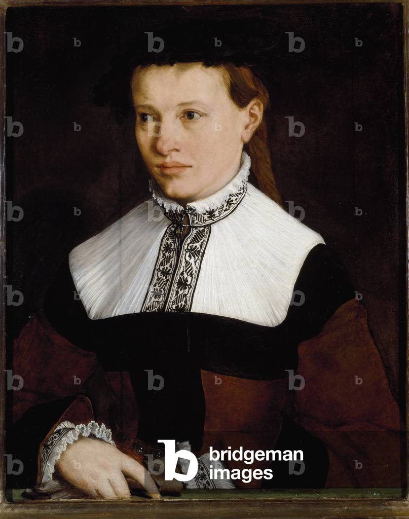 Portrait of Ursula Degnin, 16th century (painting)