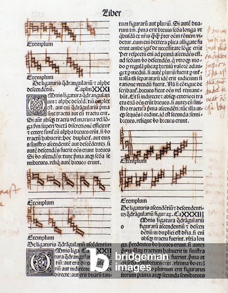 Text page and manuscript annotations from The Art of Music by Guillaume Despuig, 1495