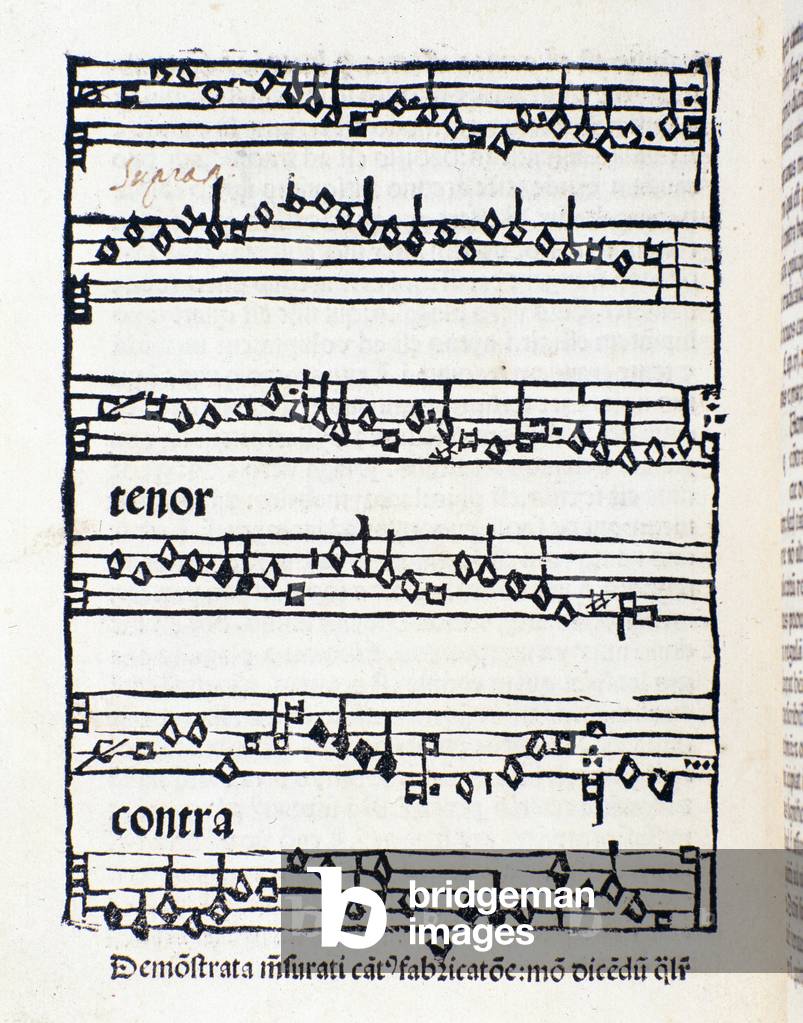 Sheet music page for Musicological studies and documents by Nicola Burzio, 1487