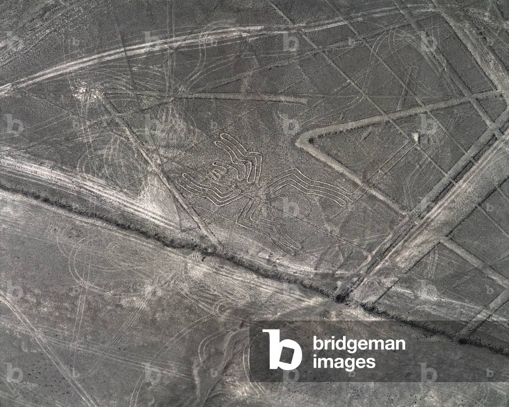 Aerial view of Nazca Lines representing a spider figure (photography, 1983)