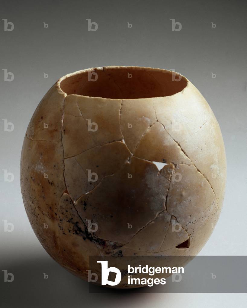 Empty ostrich egg. From Laurita (Almunecar).