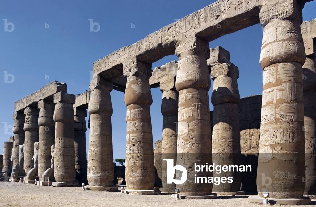 Immagine di Fotografia "Colonnato della Gran Corte di Ramses II (fotografia)" di Egyptian 19th Dynasty