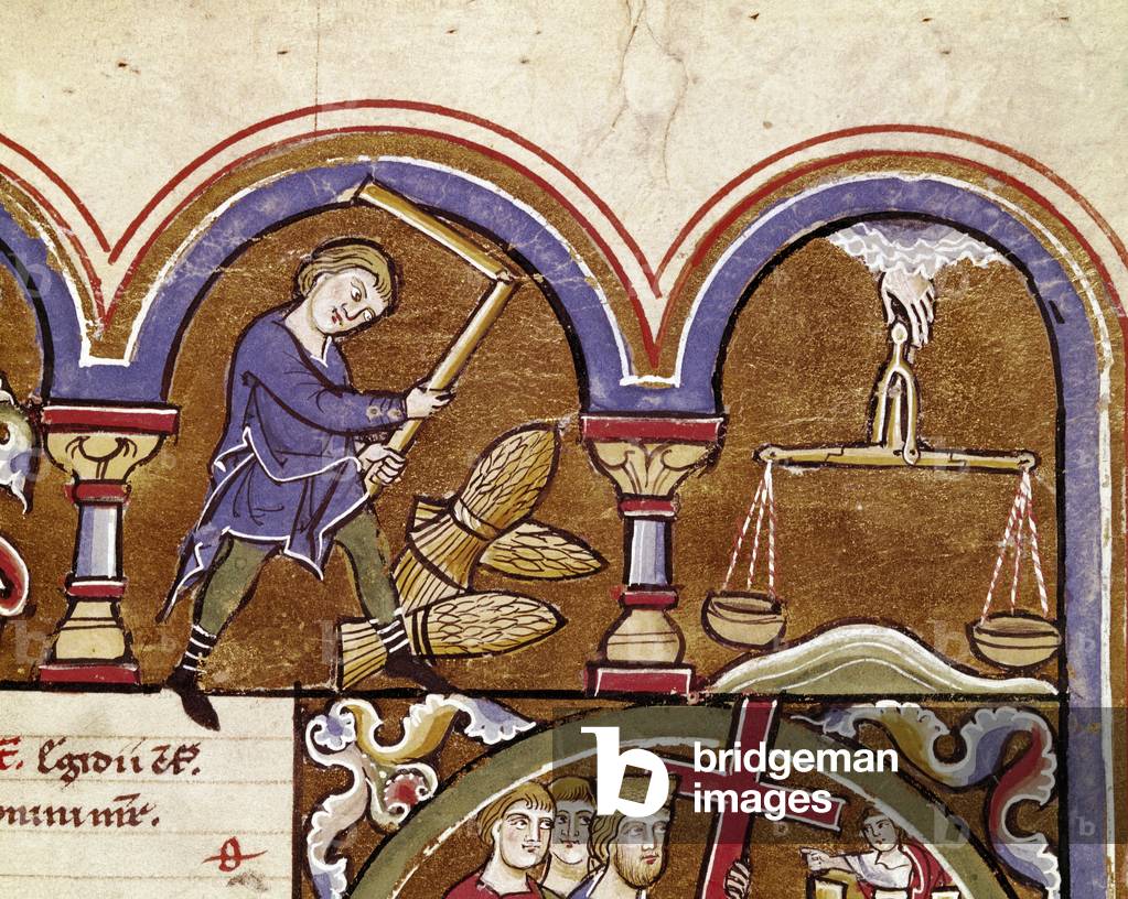 The month of September, agricultural work, harvest, wheat threshing with a flower Detail of a manuscript page drawn from “” The Psalter of Saint Elizabeth”” 13th century Cividale, Museo Archeologico