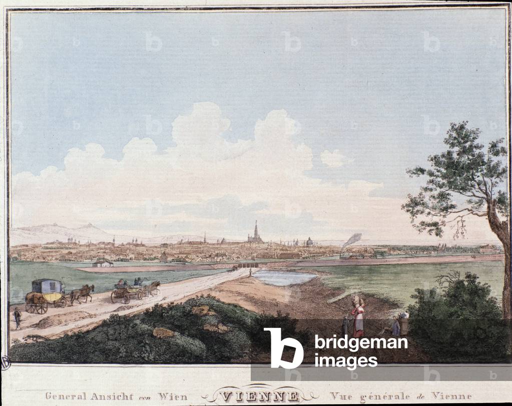 Overview of the city of Vienna with bridge crossing the Danube, 1830 (engraving)