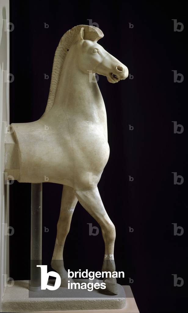 Greek art: horse of manege. Marble sculpture. 520-510 BC. Dim. 113 cm Athenes, National Archaeological Museum