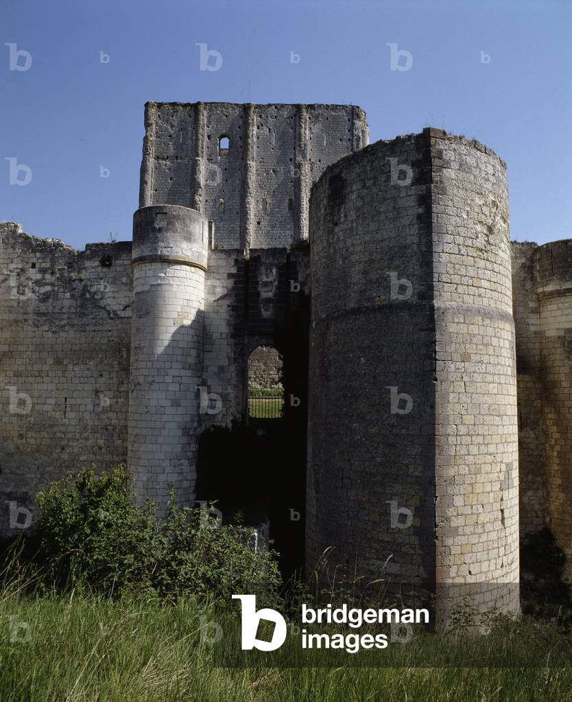 View of the towers of the castle
