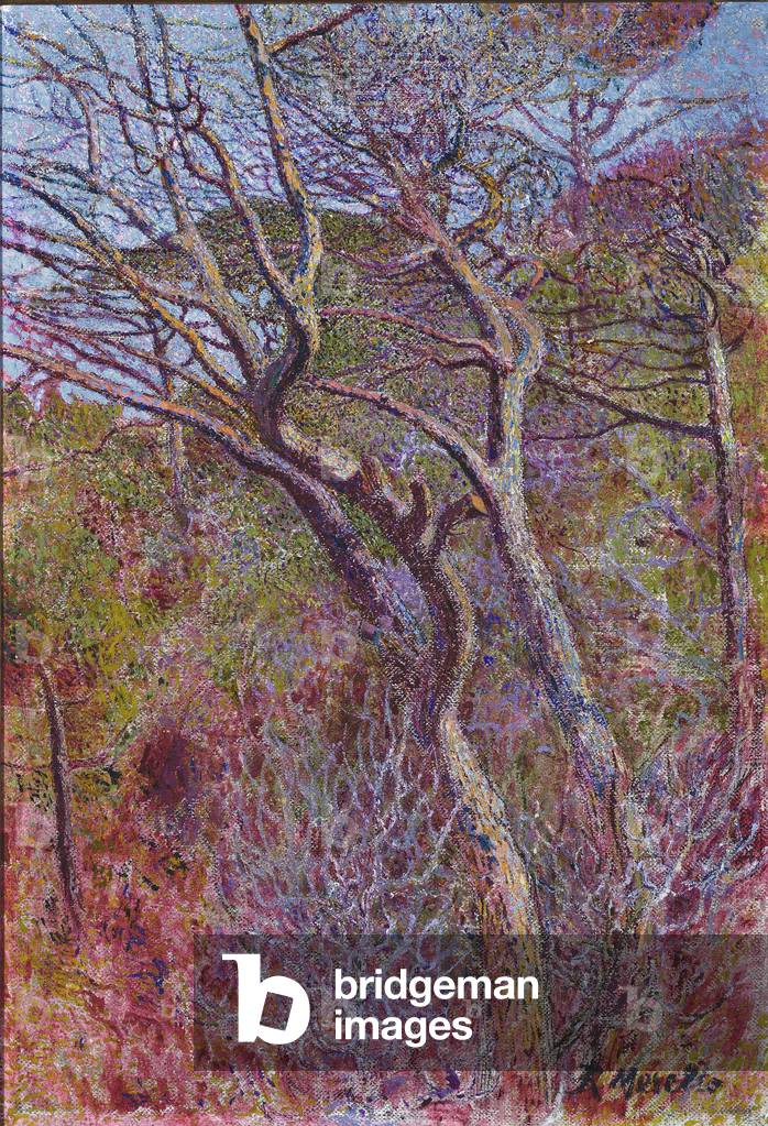 Landscape, Studio, c.1907 (oil on canvas)