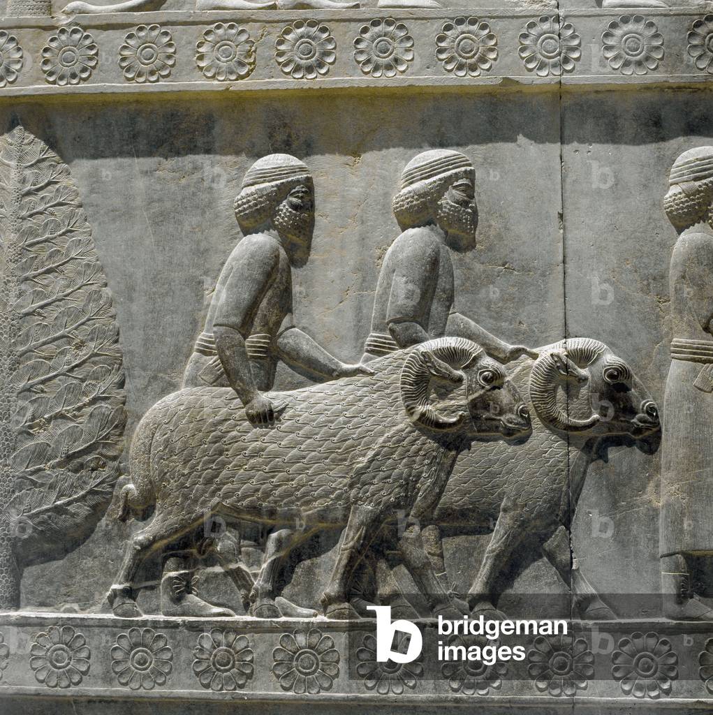 Sogdians bring gifts to Darius I . Reliefs of the eastern staircase of the Apadana, 6th century BC