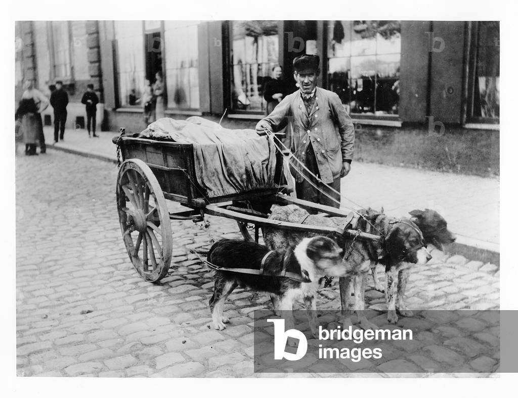 Egg seller in Ypres, Belgium, c.1900 (b/w photo)