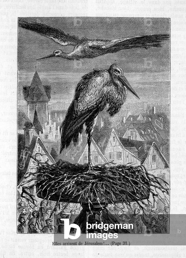 Storks on a roof- in “” The Friend Fritz””, by Erckmann-Chatrian, ill. by Théophile Schuler, 1864