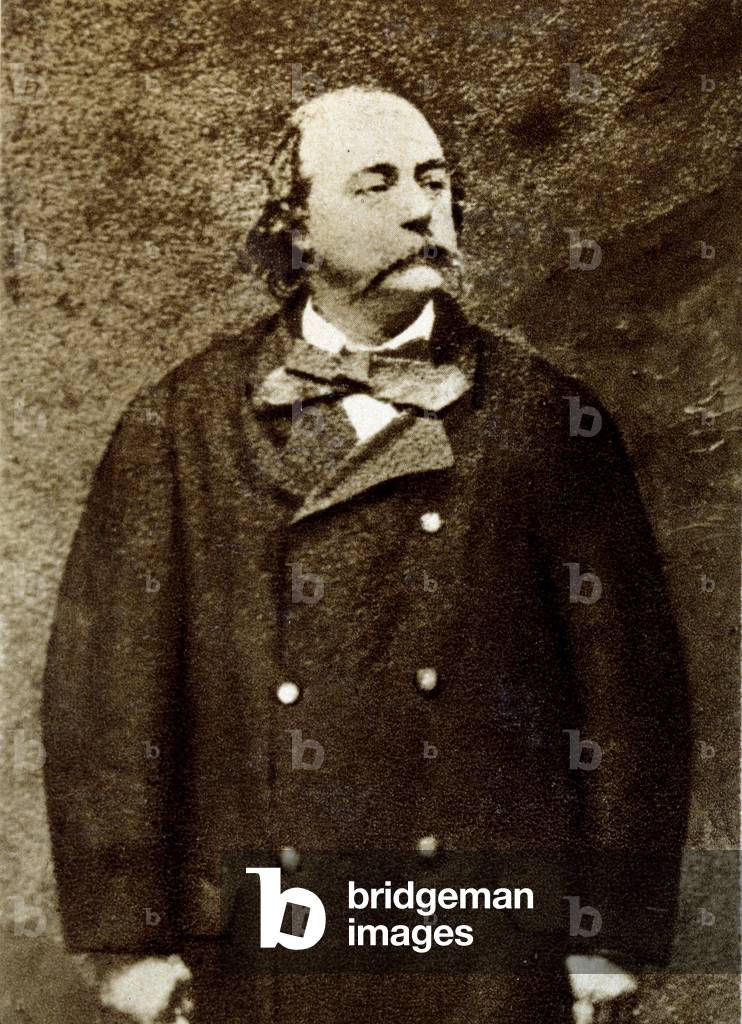 "Ritratto di Gustave Flaubert (1821-1880)" 1801 di Unknown Artist