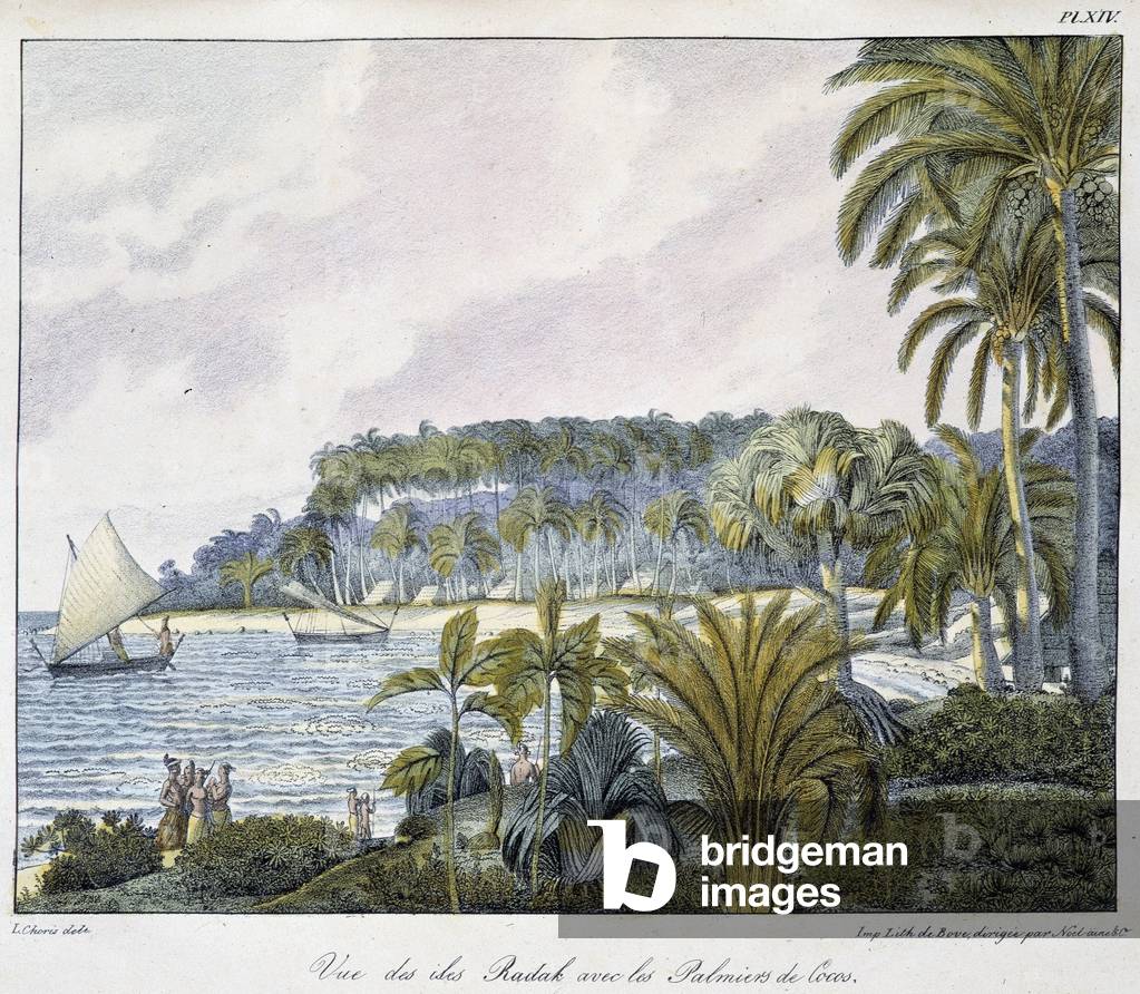 View of the Radak Islands of the Marshall Islands archipelago.