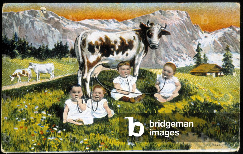 Babies stubborn a cow by pipes - Postcard, late 19th century