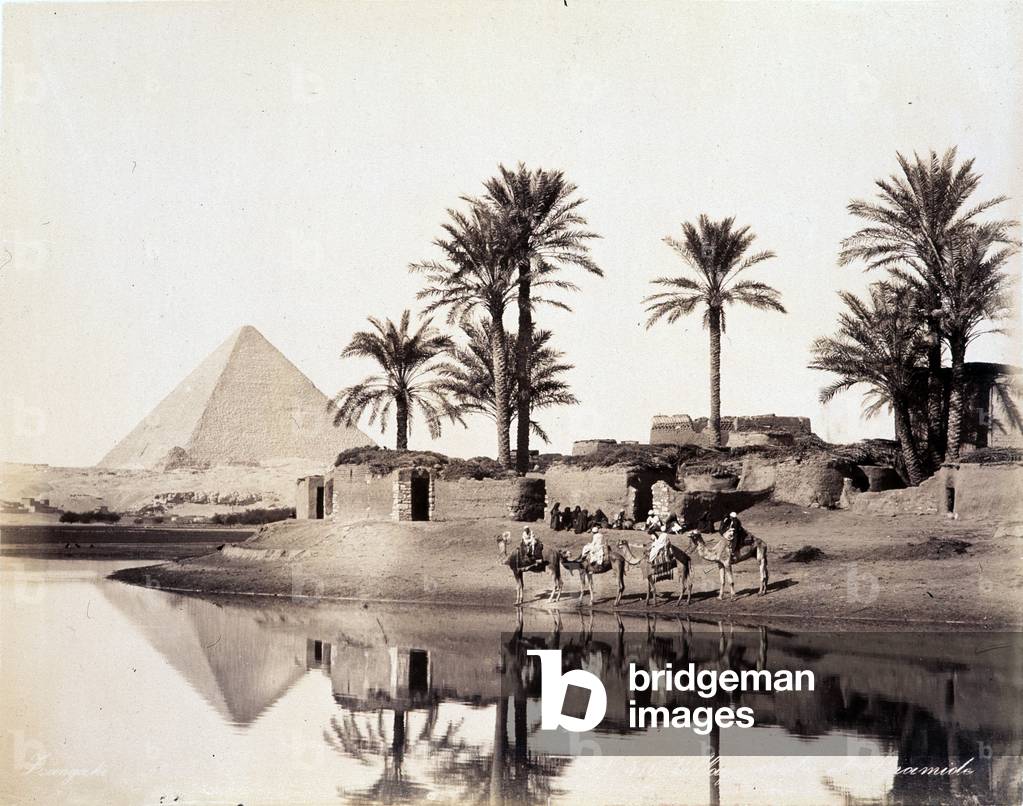 Camels drinking at the foot of the pyramids of Egypt - photograph by the Zangali brothers, late 19th century