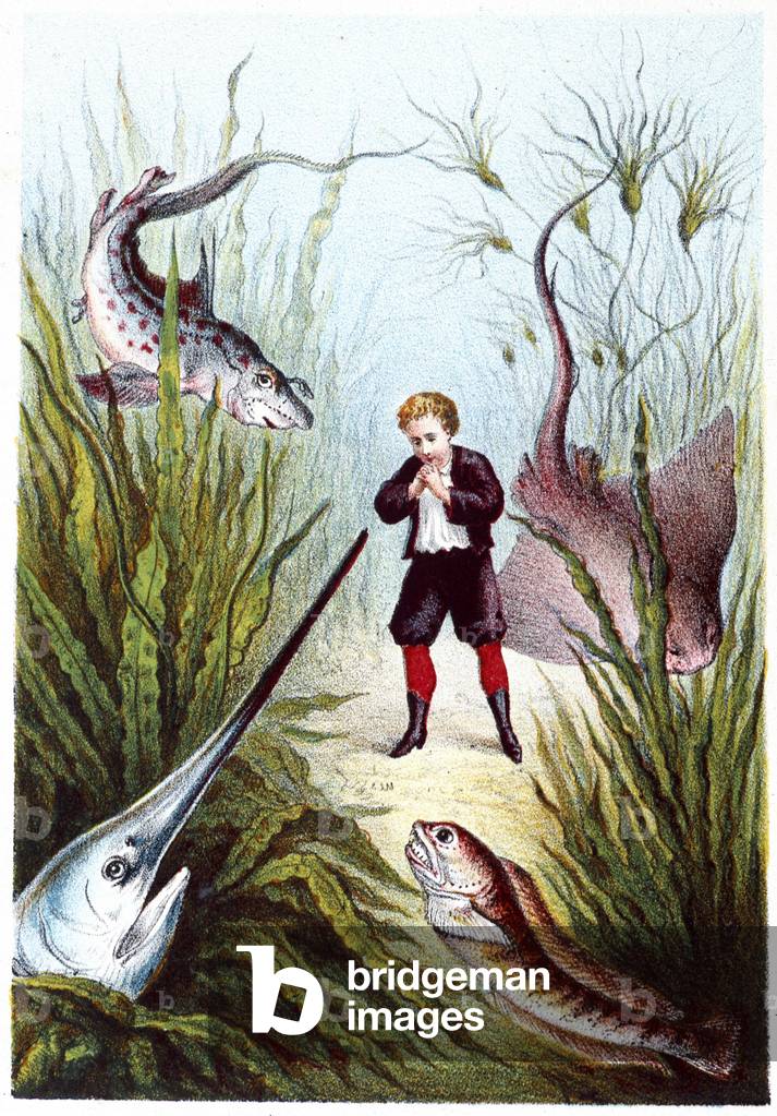 A boy surrounded by giant fish - in “” Journey to the bottom of the sea”” by H. de la Blanchère. Paris, ed. Jouvet et Cie, sd. 1880.