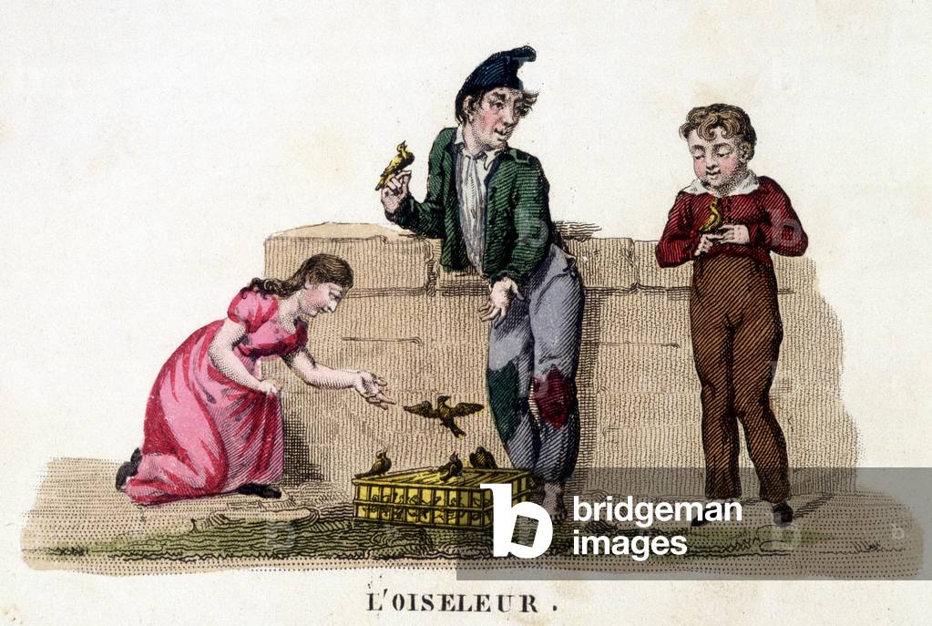 The bird-bird - engraving, 19th century